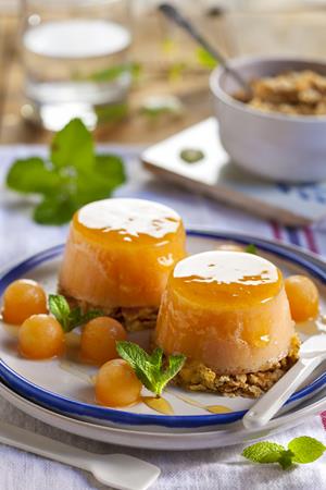 Cantaloupe –meloni “flan” | Blog